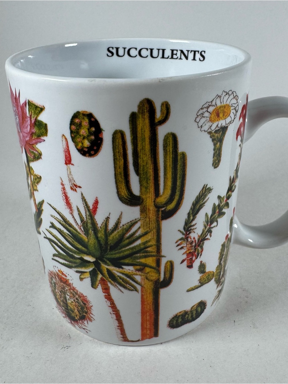 New York Puzzle Co Mug 2022 Cactus Succulents Ceramic 4.25" Tall 3.5" Diameter